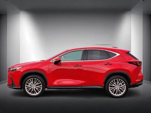 Redline 2024 Lexus NX 350 Luxury