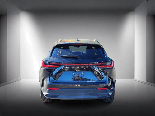 2024 Lexus NX 350h Luxury
