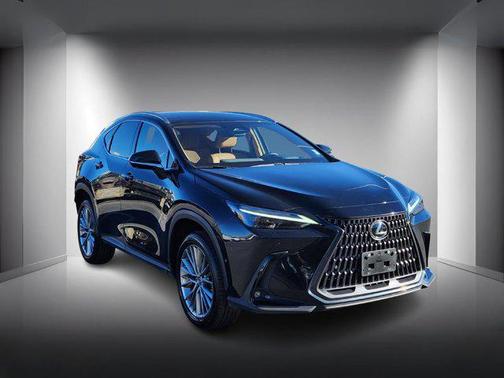 2024 Lexus NX 350h Luxury
