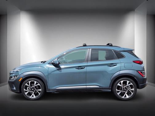 Cactus Fern 2022 Hyundai KONA Limited