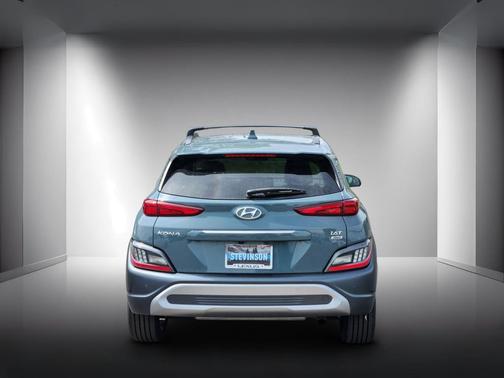 Cactus Fern 2022 Hyundai KONA Limited