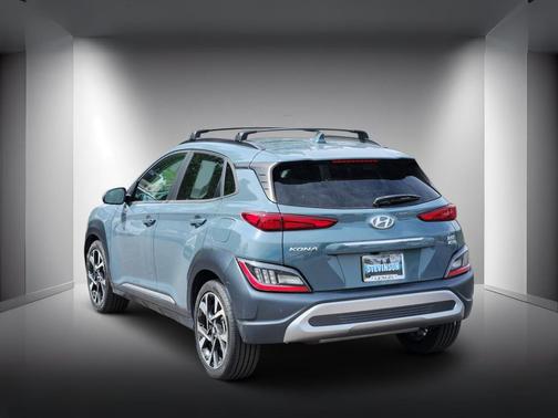 Cactus Fern 2022 Hyundai KONA Limited