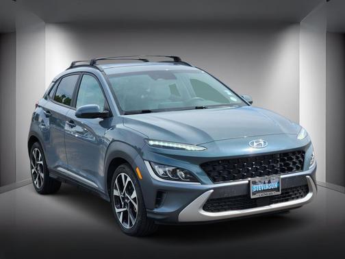 Cactus Fern 2022 Hyundai KONA Limited