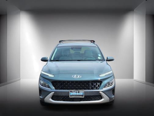 Cactus Fern 2022 Hyundai KONA Limited
