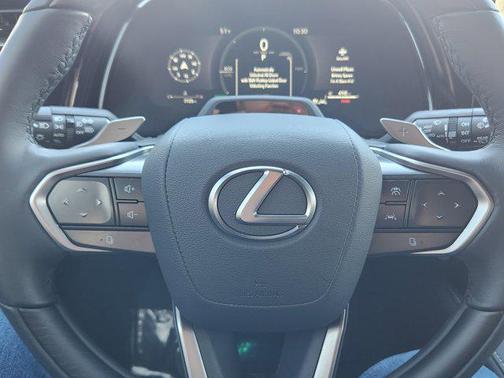 2025 Lexus RX 350 Luxury