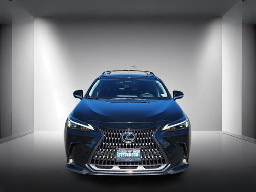 2025 Lexus NX 350h Premium