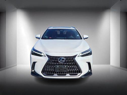 2024 Lexus NX 450h+ Luxury
