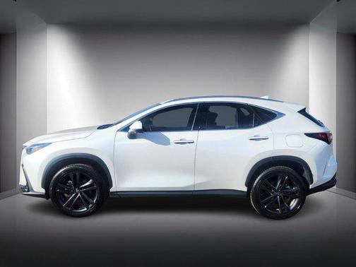2024 Lexus NX 450h+ Luxury