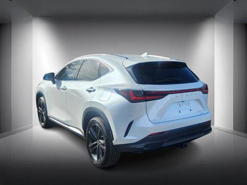 2024 Lexus NX 450h+ Luxury