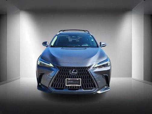 2025 Lexus NX 350h Premium