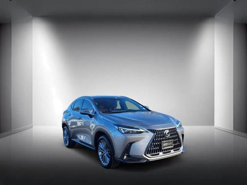 2023 Lexus NX 350 Luxury