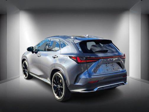 2024 Lexus NX 450h+ F SPORT Handling