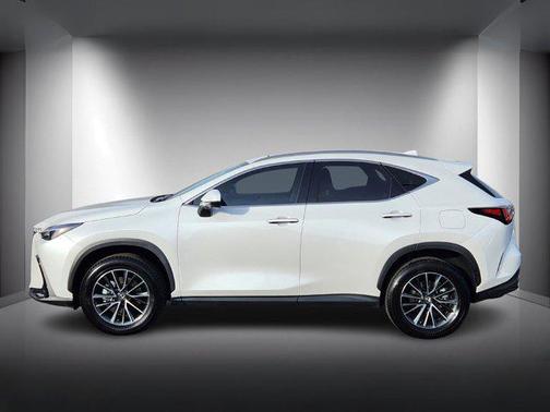 2025 Lexus NX 350h Premium