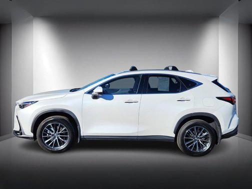 2025 Lexus NX 350h Premium