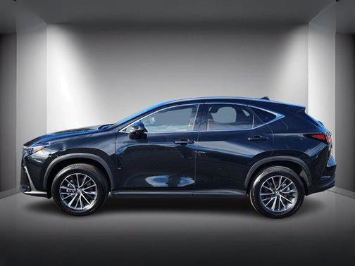 2025 Lexus NX 350h Premium
