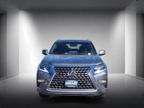 Nebula Gray Pearl 2022 Lexus GX 460 Premium