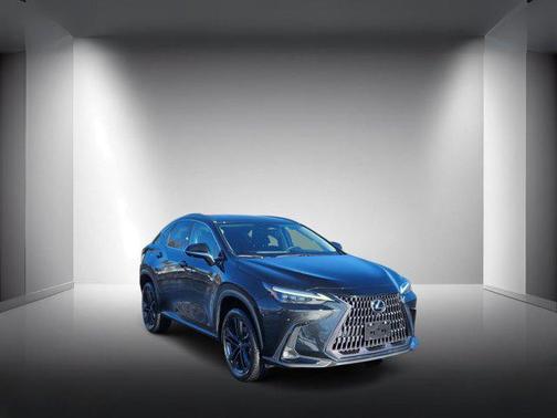 2024 Lexus NX 450h+ Luxury