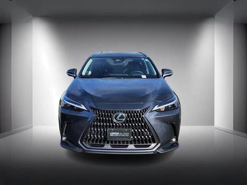 2025 Lexus NX 350h Premium