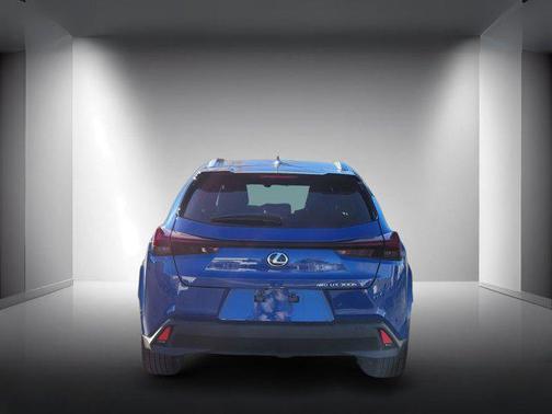 2025 Lexus UX 300h Premium