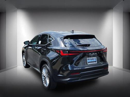 2025 Lexus NX 350h Premium