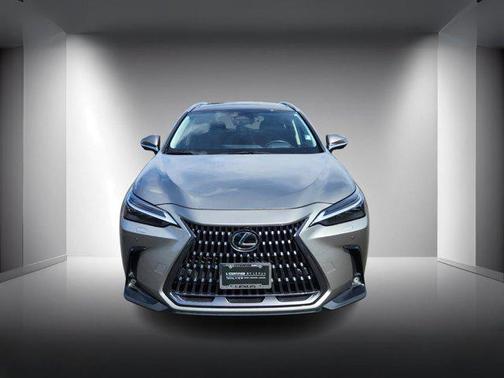 2025 Lexus NX 350h Luxury