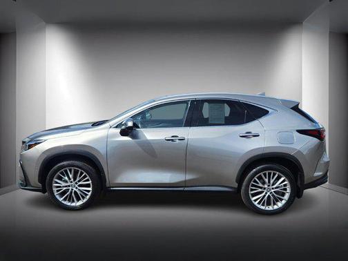 2025 Lexus NX 350h Luxury