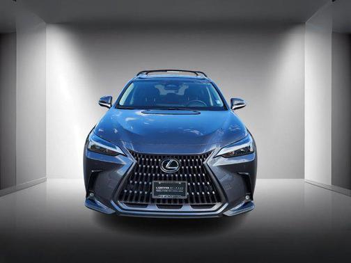 2025 Lexus NX 350h Premium