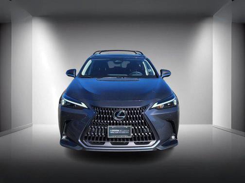 2025 Lexus NX 350h Premium