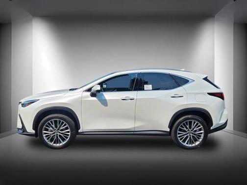 2025 Lexus NX 350h Luxury