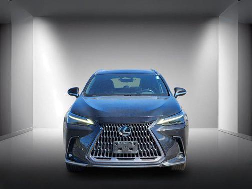 Caviar 2024 Lexus NX 350h Luxury