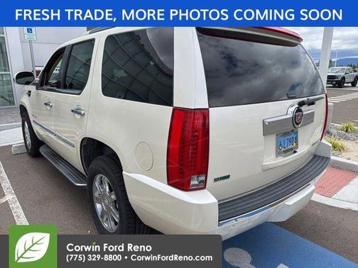 White Diamond Tricoat 2010 Cadillac Escalade Base