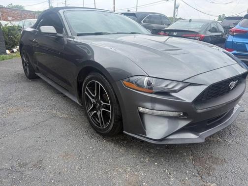 Magnetic 2019 Ford Mustang EcoBoost