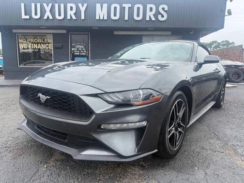 Magnetic 2019 Ford Mustang EcoBoost
