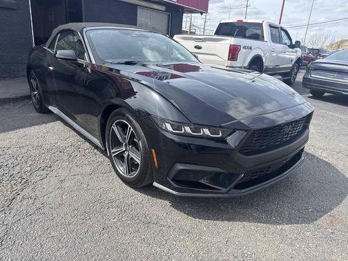 Shadow Black 2025 Ford Mustang EcoBoost Premium