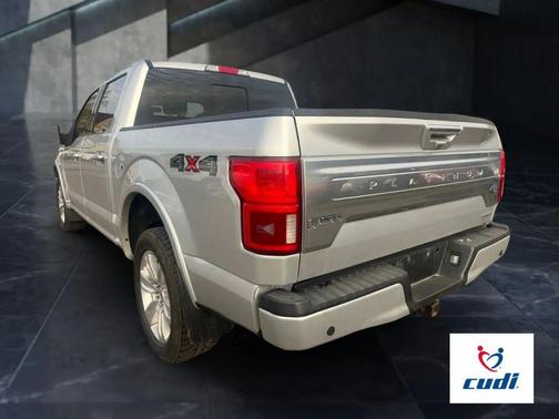 Magnetic Metallic 2018 Ford F-150 Platinum