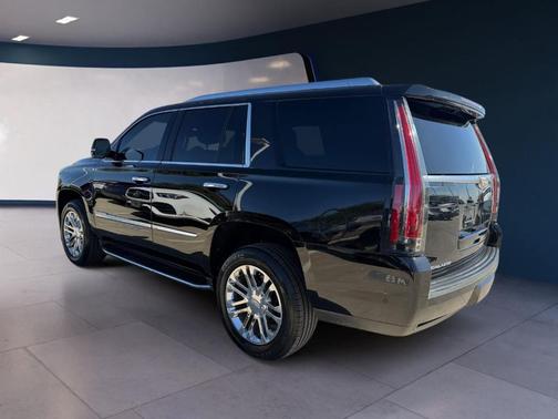 2020 Cadillac Escalade Standard