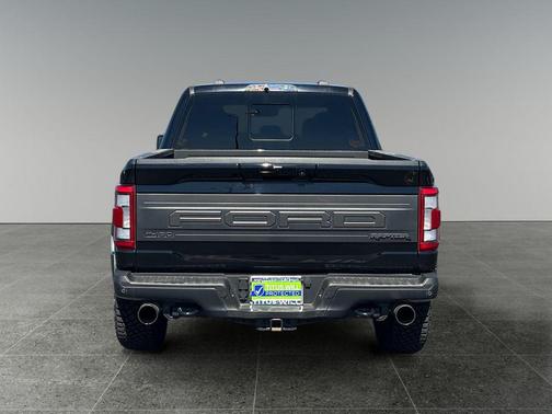 Agate Black Metallic 2021 Ford F-150 Raptor