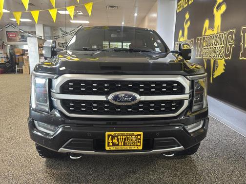 2022 Ford F-150 Platinum