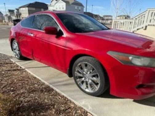 2010 Honda Accord EX-L