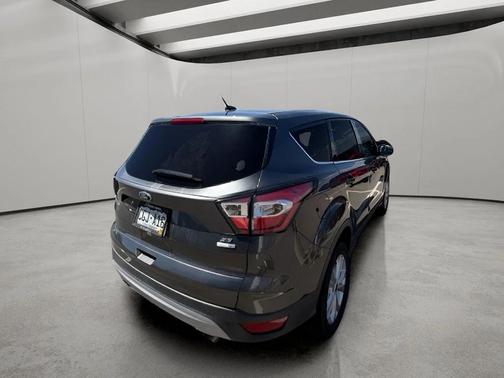 MAGNETIC METALLIC 2017 Ford Escape SE
