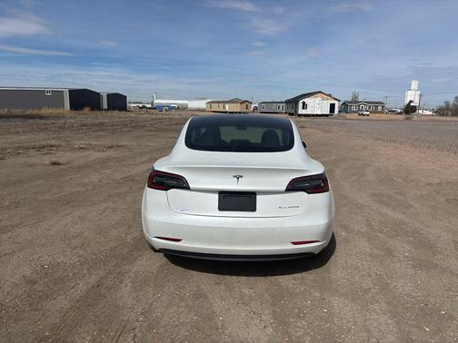 Pearl White Multi-Coat 2021 Tesla Model 3 Long Range