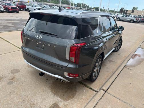 Rainforest 2022 Hyundai PALISADE Limited
