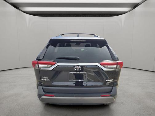 2019 Toyota RAV4 Limited