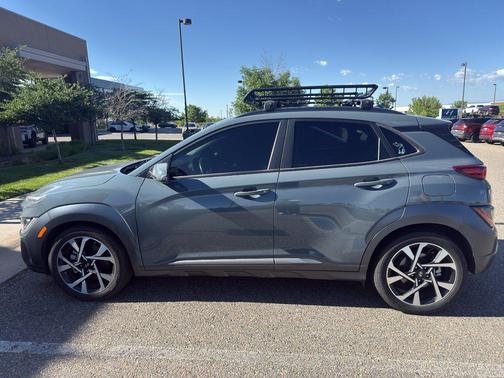 Cactus Fern 2022 Hyundai KONA Limited