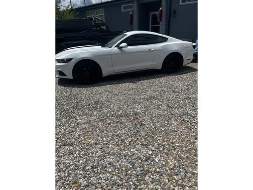 OXFORD WHITE 2015 Ford Mustang EcoBoost
