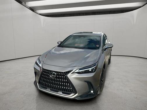 Atomic Silver 2022 Lexus NX 350 Premium