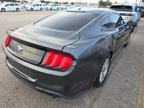2019 Ford Mustang EcoBoost