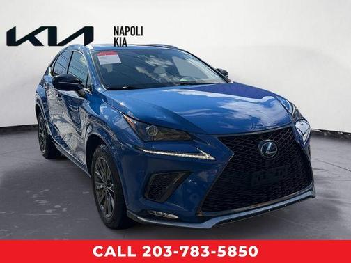 2021 Lexus NX 300h F SPORT Black Line