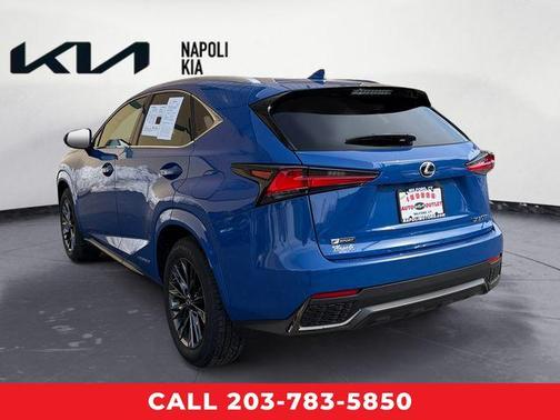 2021 Lexus NX 300h F SPORT Black Line