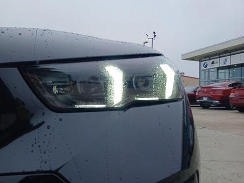 Black Sapphire Metallic 2026 BMW 530 530i